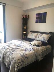 1919 (D9), Apartment #569732101